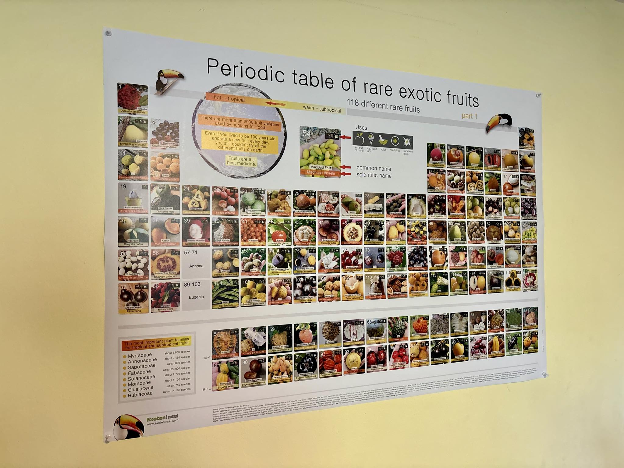 Poster "Periodic table of rare exotic fruits" Part 1 - 1 pcs / 1 Stck 