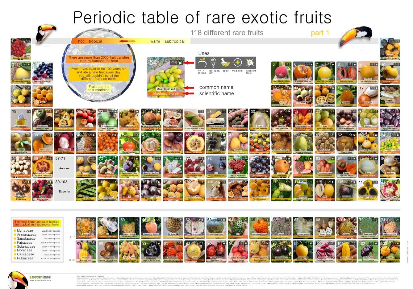 Poster "Periodic table of rare exotic fruits" Part 1 - 1 pcs / 1 Stck 