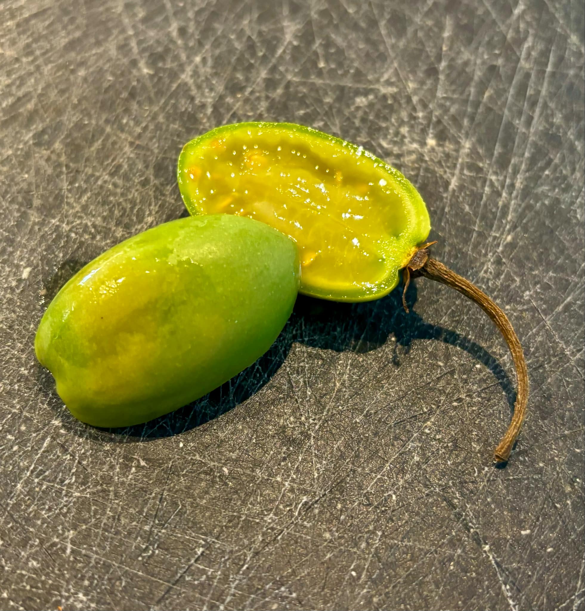 Tomatao Verde Piloso (Solanum luridifuscescens) 3 fresh seeds / 3 frische Samen