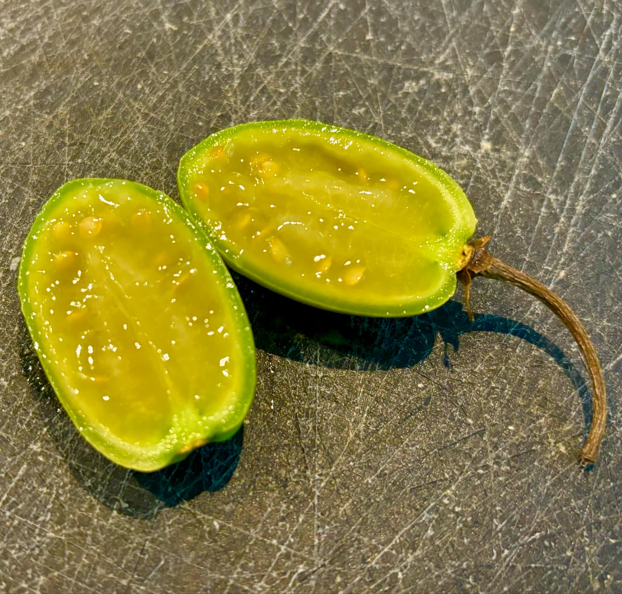 Tomatao Verde Piloso (Solanum luridifuscescens) 3 fresh seeds / 3 frische Samen